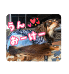 むぎです vol.1（個別スタンプ：8）