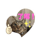 スズだもん！その2（個別スタンプ：1）