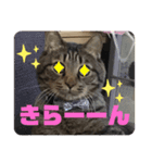 スズだもん！その2（個別スタンプ：9）