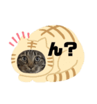 スズだもん！その2（個別スタンプ：13）