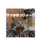 スズだもん！その2（個別スタンプ：14）