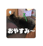スズだもん！その2（個別スタンプ：16）