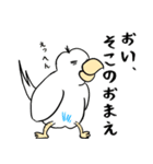 勝気なインコのもちちゃん（個別スタンプ：1）