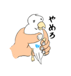 勝気なインコのもちちゃん（個別スタンプ：2）