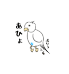 勝気なインコのもちちゃん（個別スタンプ：7）