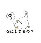 勝気なインコのもちちゃん（個別スタンプ：8）