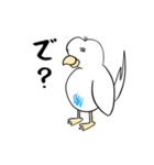 勝気なインコのもちちゃん（個別スタンプ：9）