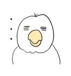 勝気なインコのもちちゃん（個別スタンプ：10）