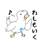 勝気なインコのもちちゃん（個別スタンプ：13）