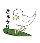 勝気なインコのもちちゃん（個別スタンプ：16）