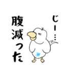 勝気なインコのもちちゃん（個別スタンプ：20）