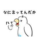 勝気なインコのもちちゃん（個別スタンプ：22）