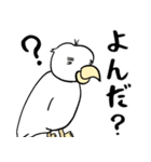 勝気なインコのもちちゃん（個別スタンプ：23）