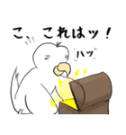 勝気なインコのもちちゃん（個別スタンプ：27）