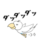 勝気なインコのもちちゃん（個別スタンプ：29）