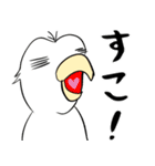 勝気なインコのもちちゃん（個別スタンプ：33）