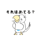 勝気なインコのもちちゃん（個別スタンプ：34）