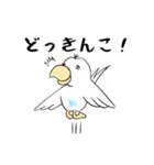 勝気なインコのもちちゃん（個別スタンプ：37）