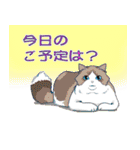 気まぐれ猫の独り言（個別スタンプ：6）