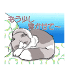 気まぐれ猫の独り言（個別スタンプ：19）