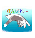 気まぐれ猫の独り言（個別スタンプ：25）