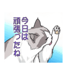 気まぐれ猫の独り言（個別スタンプ：39）