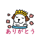 おもち犬の日常会話（個別スタンプ：24）
