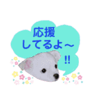 I love Tommy（個別スタンプ：5）