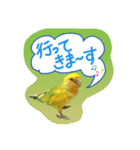 I love Tommy（個別スタンプ：6）