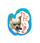 I love Tommy（個別スタンプ：7）