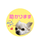 I love Tommy（個別スタンプ：10）