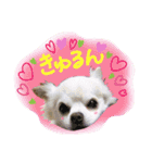 I love Tommy（個別スタンプ：12）
