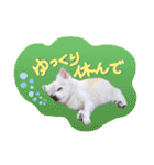 I love Tommy（個別スタンプ：13）