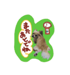 I love Tommy（個別スタンプ：15）