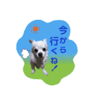 I love Tommy（個別スタンプ：21）