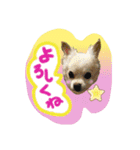 I love Tommy（個別スタンプ：22）