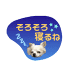 I love Tommy（個別スタンプ：23）