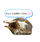 Runa＆Riku 2（個別スタンプ：8）