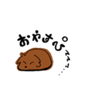 鯉太郎侍（個別スタンプ：3）