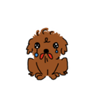 鯉太郎侍（個別スタンプ：24）