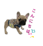 フレブル ちろころ（個別スタンプ：3）