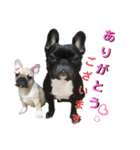 フレブル ちろころ（個別スタンプ：5）
