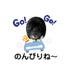 フレブル ちろころ（個別スタンプ：14）