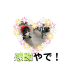 フレブル ちろころ（個別スタンプ：15）