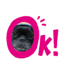 フレブル ちろころ（個別スタンプ：20）