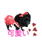 フレブル ちろころ（個別スタンプ：30）