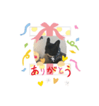 フレブル ちろころ（個別スタンプ：31）
