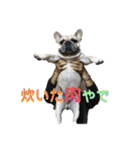 フレブル ちろころ（個別スタンプ：36）