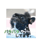 フレブル ちろころ（個別スタンプ：39）