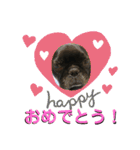 フレブル ちろころ（個別スタンプ：40）